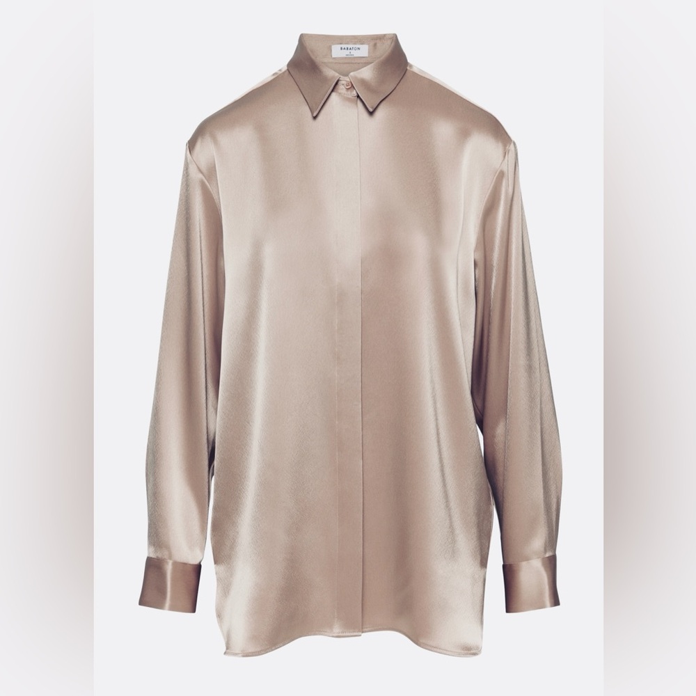 Aritzia Babaton Sable Satin Shirt